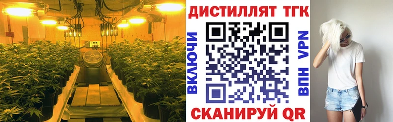 kraken маркетплейс  Астрахань  ТГК Wax 