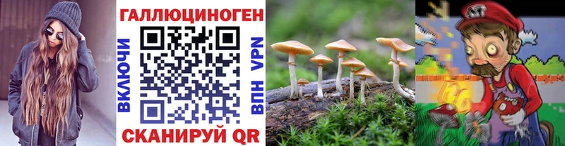 Галлюциногенные грибы ЛСД Астрахань